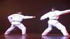 Taekwondo (Demo Team)