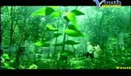 Hãy Về Đây Bên Anh