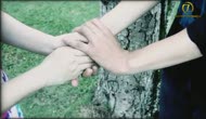 Không Ai Có Lỗi