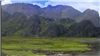 Ninh Bình Quê Tôi