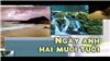 Bóng Nhỏ Đường Chiều
