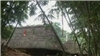 Đường Xưa Lối Cũ