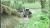 Tình Cha