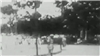Tuyên Ngôn Độc Lập 2/9/1945