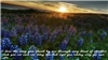Until You (Vietsub)