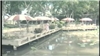 Biển Tím 1982 (Nhạc Gò Công)
