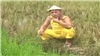Về Quê Cấm Câu
