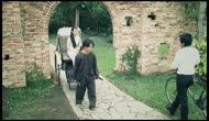 Bông Sầu Đâu