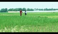 Éo Le Cuộc Tình