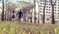 Giấc Mơ Ngọt Ngào