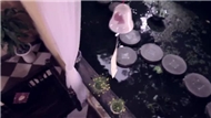 Khi Người Yêu Tôi Khóc