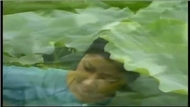 Ru Tình