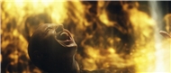 Burn It Down