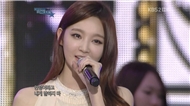 Don't Say Goodbye (120530 Dream Concert)
