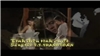 Tình Đầu Tình Cuối