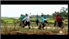 LK Về Miền Tây - Người Đến Từ Triều Châu - Về Đây Với Em