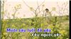 Chuyện Tình Bé Nhỏ (Karaoke)