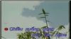 Kiên Giang Mình Đẹp Lắm