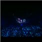 Dĩ Vãng Cuộc Tình (Liveshow Ranh Giới & Tình Yêu)