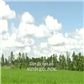Ầu Ơ Ví Dầu (Nhạc Phim)