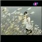 LK Sao Em Nỡ Vội Lấy Chồng, Được Tin Em Lấy Chồng