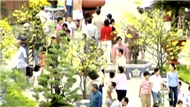 Mùa Xuân Và Tuổi Trẻ 