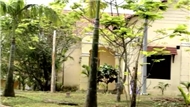Quảng Ngãi Quê Em Sáng Xuân Nay