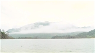 Hương Quế Trà Bồng