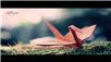 Nhiều Người Ôm Giấc Mơ (Lyrics)