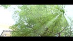 Tâm Sự Với Anh