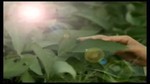 Người Ơi Hãy Về