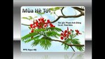 Mùa Hè Tới (Handmade Clip)