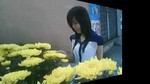 Điện Thoại Yêu Sim (Handmade Clip)