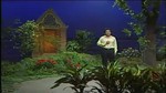 Sóc Trăng Ngày Trở Lại (Tân Cổ)