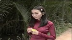 Cây Cầu Dừa (Kara)