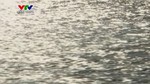 Chút Thư Tình Người Lính Biển