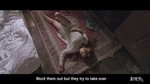 Peacock (English Version)