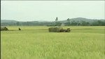 Tình Đất