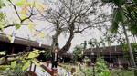 Hẹn Nhau Ngày Thơ Lục Bát