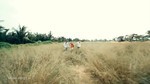 Cảm Giác Đơn Côi