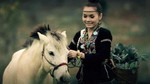 Tình Yêu Màu Nắng