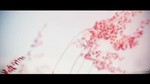 Sầm Sơn - Cảm Hứng Bất Tận