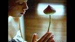 Cảm Niệm Ân Đức Cha Mẹ